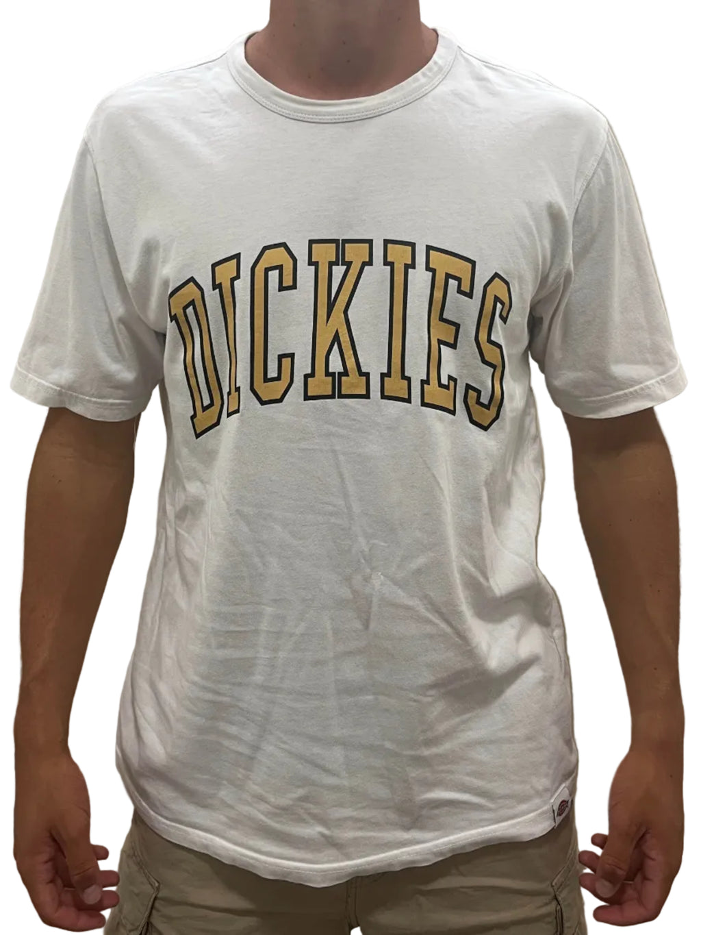 Camiseta Vintage Dickies (M)